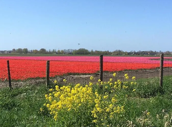 De Bed & Breakfast Wervershoof
