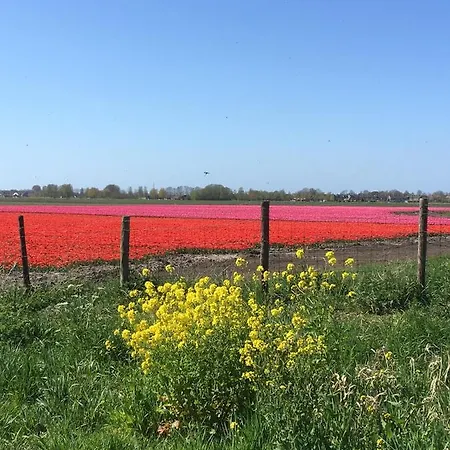 De Alojamento de Acomodação e Pequeno-almoço Wervershoof
